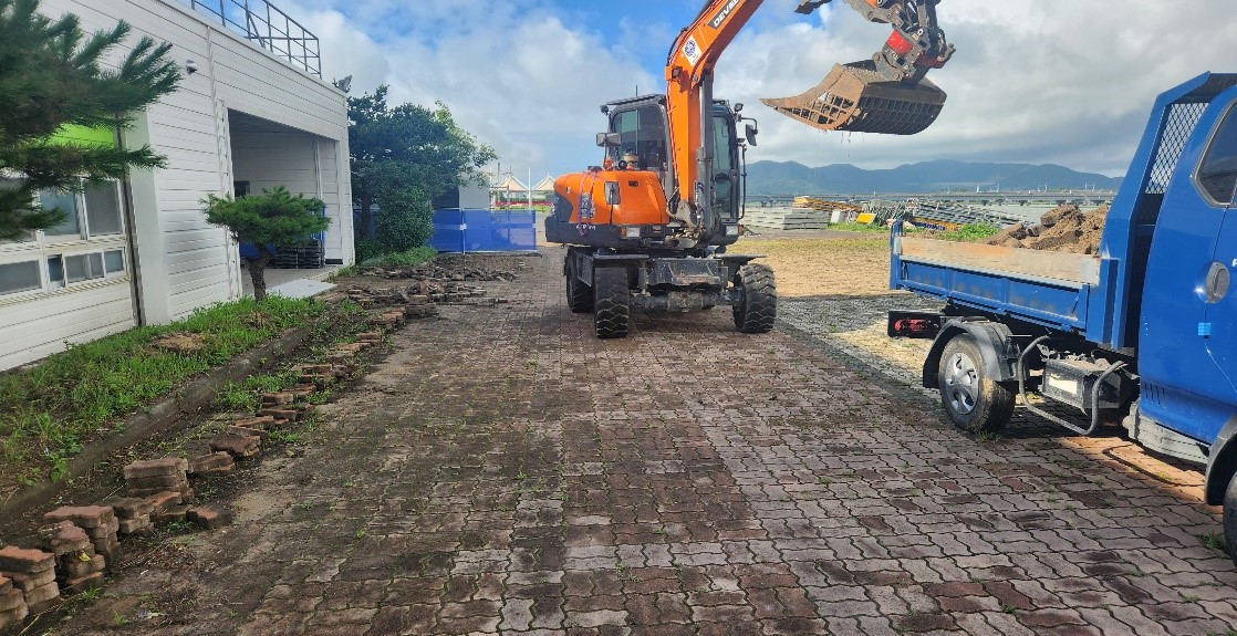 돈나무,산철쭉 굴취1